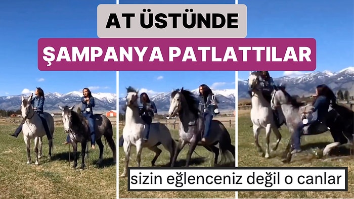 Video İçin Atın Üstünde Şampanya Patlatan İki Arkadaş Atlar Sesten Ürkünce Felaketin Eşiğinden Döndü