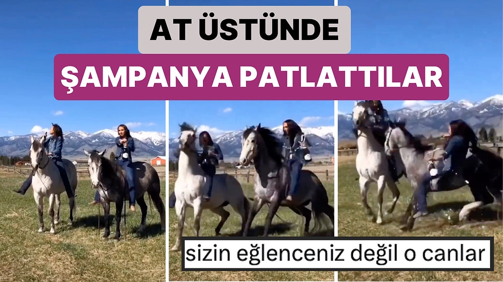 Video İçin Atın Üstünde Şampanya Patlatan İki Arkadaş Atlar Sesten Ürkünce Felaketin Eşiğinden Döndü