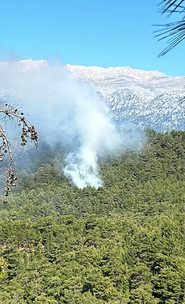 Manavgat'ın Köprülü Kanyon Milli Parkı bölgesinde sabah saatlerinde orman yangını çıktı.