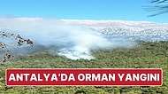 Antalya’da Orman Yangını Çıktı: Ekipler Müdahale Ediyor