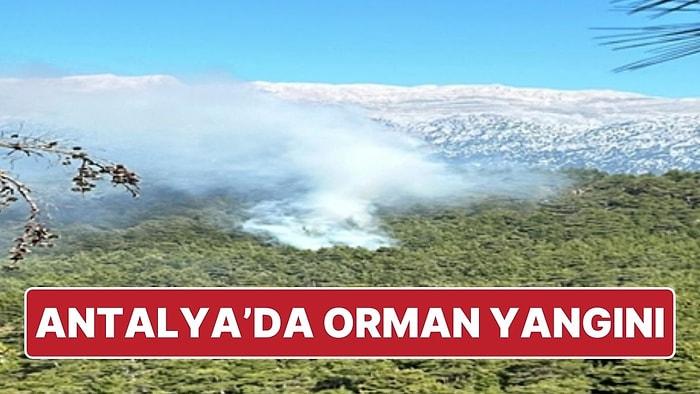 Antalya’da Orman Yangını Çıktı: Ekipler Müdahale Ediyor