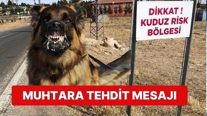Şanlıurfa'da Kuduz Köpekleri İhbar Eden Muhtar Tehdit Edildiğini Söyleyerek Gelen Mesajları İfşa Etti