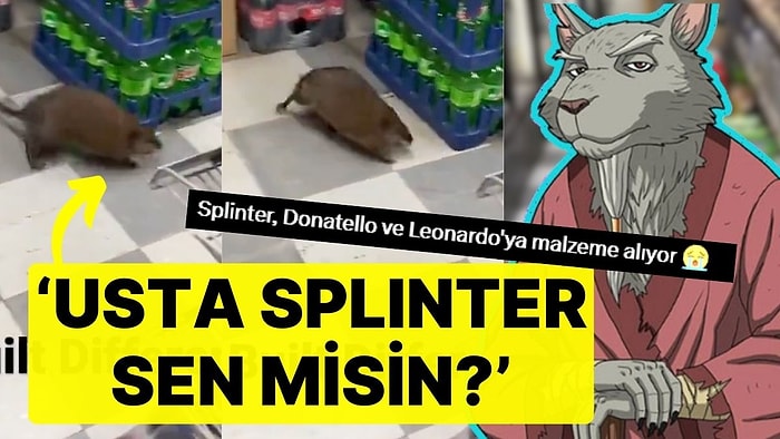 New York'ta Markete Giren Dev Farenin Görüntüsü Gündem Oldu: 'Usta Splinter Sen misin?