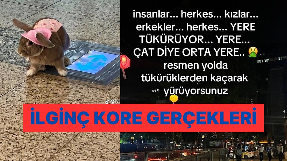 Pek Çok Kişinin Hayalini Gerçekleştiren Bir Kişinin Gözünden Güney Kore Deneyimleri