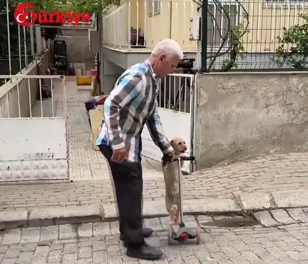 Aydın'da 78 yaşındaki Muharrem Yılmaz da 2 yıl önce sahiplendiği köpeğe ailesinin üyesi gibi davranıp onunla her gün vakit geçiriyor.