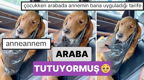 Araba Tuttuğu İçin Sahibinin Aldığı Önlemle Yolculuk Yapmak Zorunda Kalan Köpeğin Güldüren Anları