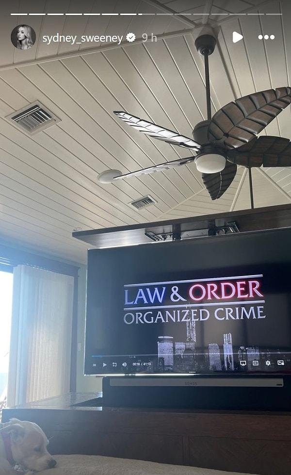 Euphoria dizisinin yıldız oyuncusu Sweeney, geçtiğimiz gün Instagram hesabında 'Law & Order: Organized Crime' dizisini izlediği anları hikayesinde paylaştı.