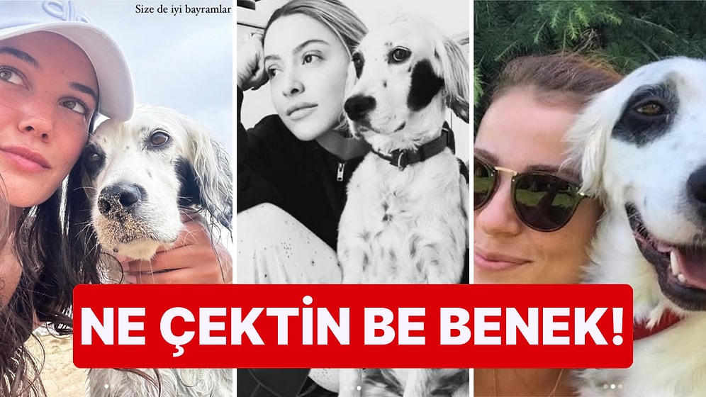 Üç Kadın Bir Köpek: Kaan Yıldırım'ın Aşk Hikayelerinde Yanan İsim Herkesle Poz Veren Köpeği Benek Oldu!