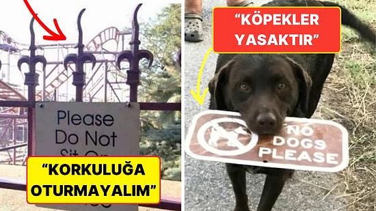Hangi Kafayla Yazıldıklarını Çözmeye Çalışırken Beyninizin Yanacağı 15 Levha