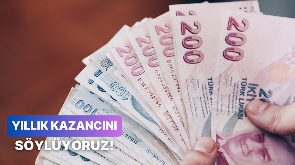 Bize İşini Anlat, Yıllık Kazancını Tahmin Edelim!