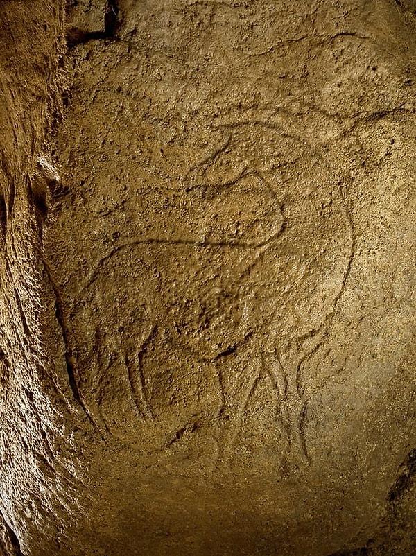 15. Fransa'daki Pair-non-Pair mağarasında yaklaşık 37.000-32.000 yıllık, omzunun üzerinden arkaya doğru bakan bir atın gravürü bulundu.