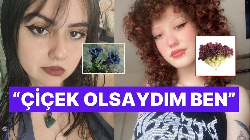 "Çiçek Olsaydım Ben" Akımına Katılan X Kullanıcılarının Çiçeklerle Benzerlikleri Bi' Hayli Şaşırttı