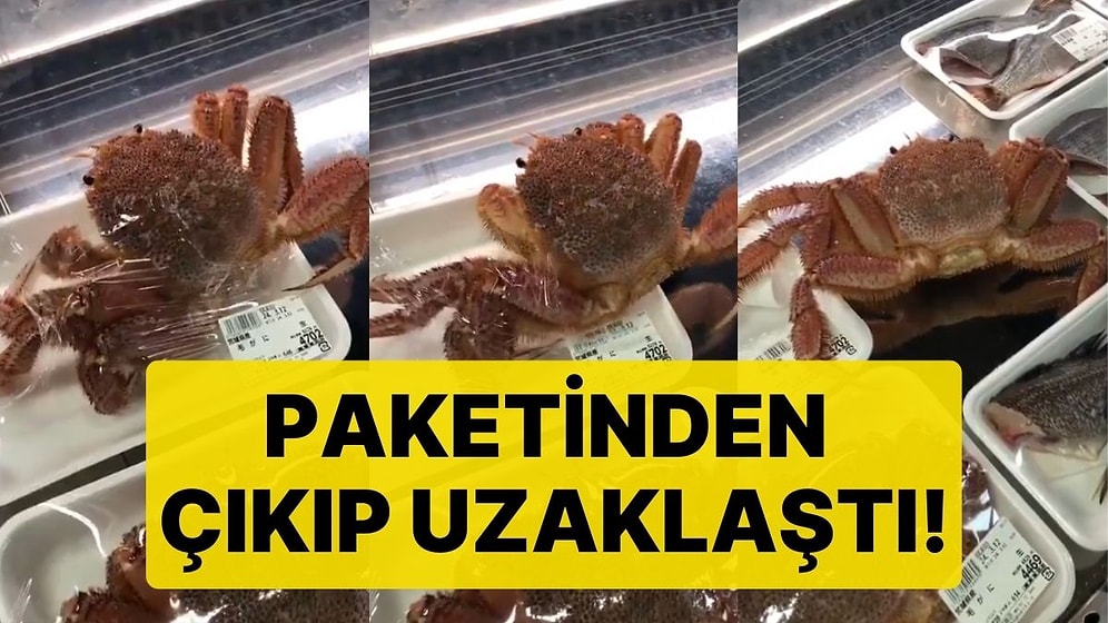 Çin'de İlginç Olay! Markette Satılan Yengeç Ayaklanarak Paketinden Çıktı