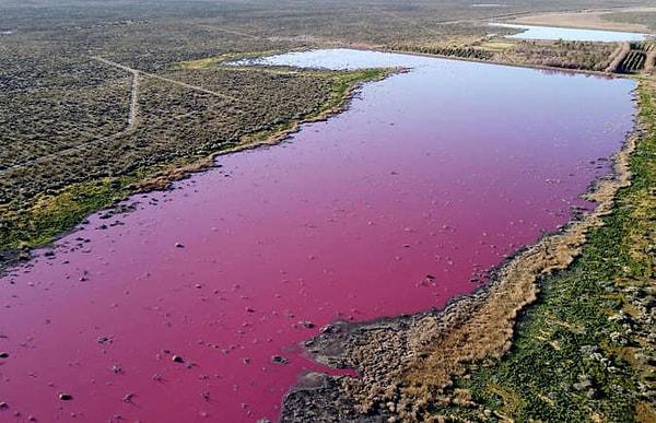 10. İl yetkililerinin fabrikaların atıklarını göle boşaltmalarına izin verdiği ve bunun da gölün renginin canlı bir şekilde değişmesine neden olduğu bildirildi.
