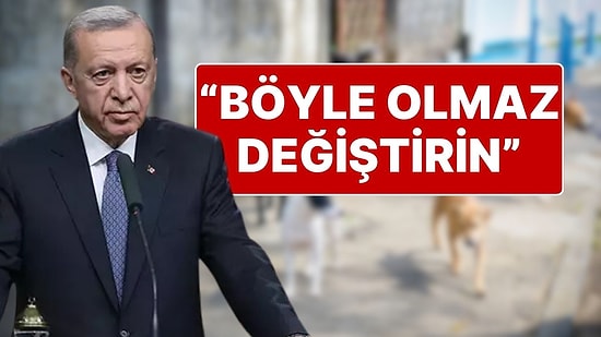 Cumhurbaşkanı Erdoğan’dan Sokak Hayvanları İçin Yeni Talimat