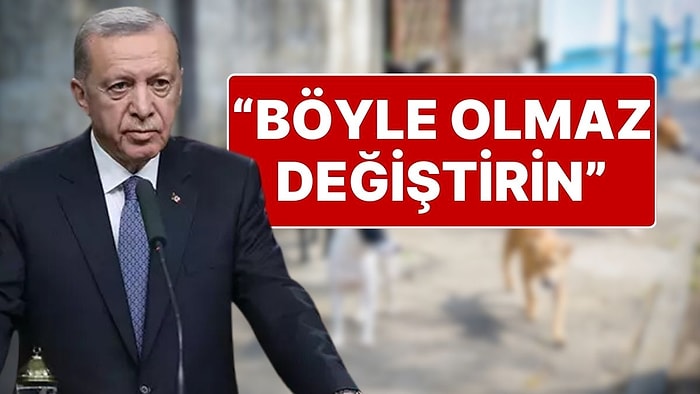 Cumhurbaşkanı Erdoğan’dan Sokak Hayvanları İçin Yeni Talimat