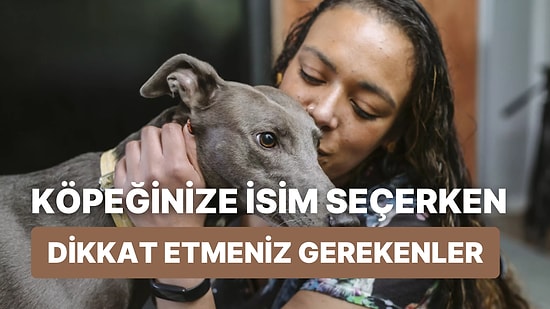 Köpeğinize İsim Seçerken Dikkat Etmeniz Gereken 12 Özellik