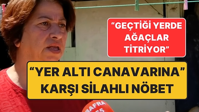 Samsun Bafra’da “Yılan” Paniği: Silahla Nöbet Tutmaya Başladı