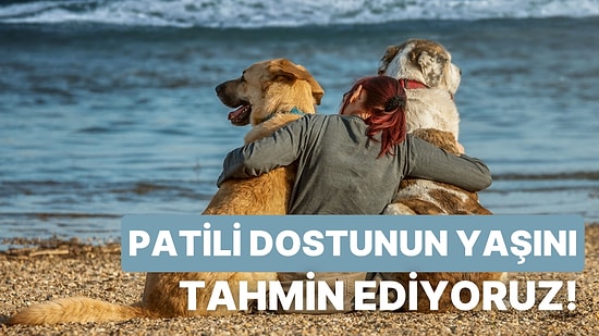 Köpeğinin Yaşını Tahmin Ediyoruz!