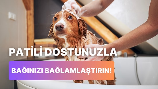 Her Yandan Kalpler Fışkıracak: Köpeğinizle Aranızdaki Bağın Artmasını Sağlayacak 11 Yol