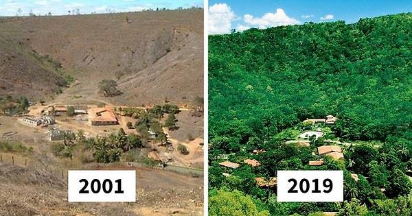 6. 20 yıl boyunca 2.7 milyon ağaç diken çift, yaşadıkları bölgeyi kuraklık tehlikesinden kurtarmayı başardı.