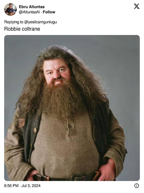 7. Harry Potter-Hagrid