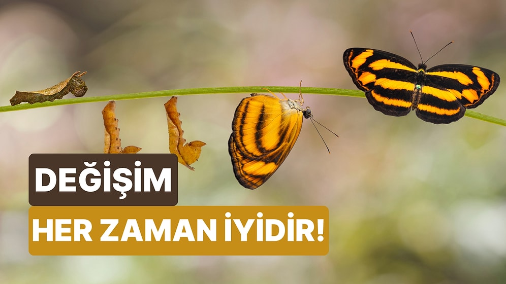 Senin Hayatını Değiştirecek Olan Şey Ne?