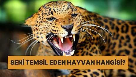 Hangi Vahşi Hayvan Seni Temsil Ediyor?