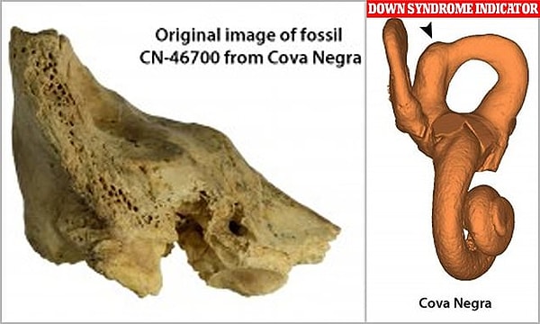 Neandertallerin hastalarına ve yaralılarına baktığına dair önceki kanıtlar, bunun yalnızca karşılıklı davranış beklentilerinden mi, yoksa gerçek şefkatten mi kaynaklandığı konusunda bir tartışmaya yol açtı.