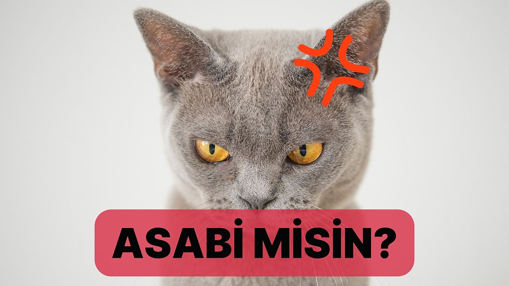 Ne Kadar Asabi Bir İnsansın?