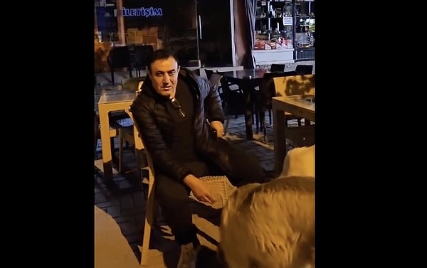 Sokak köpeklerinin uyutulması kararı, geniş kitlelerden yoğun tepkileri beraberinde getirdi. Karara pek çok ünlü isim de fakrlı biçimlerde tepkisini gösterdi.