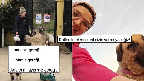 Sokak Hayvanlarına Ötanazi Teklifine Halkın Her Kesiminden Tepkiler Artıyor: "Devlet Yaşatır, Öldürmez!"