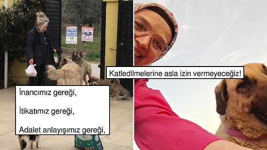 Sokak Hayvanlarına Ötanazi Teklifine Halkın Her Kesiminden Tepkiler Artıyor: "Devlet Yaşatır, Öldürmez!"