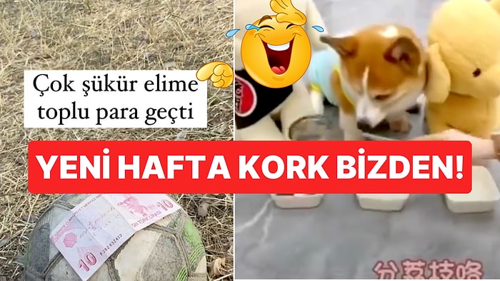 Pazartesi Sendromuna Hayır! Yeni Haftaya Mükemmel Girmenizi Sağlayacak Pozitif Paylaşımlar