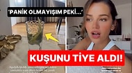 Bardağın İçine Düşerek Boğulma Tehlikesi Yaşayan Kuşunu Tiye Alarak Paylaşan Selin Yağcıoğlu Tepki Çekti