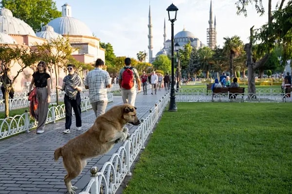 Serbestiyet’ten Hilal Köylü’nün haberine göre, hazırlanan tasarı parti içinde de kriz yarattı.