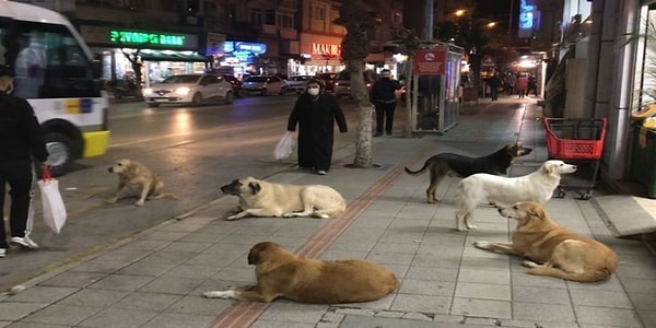 “Bu konuda gerekli çalışmaları yapmayan yerel yönetimlere yönelik denetim ve uygulama yapılmamış, gerekli durumlarda bakanlık devreye girmemiştir.”