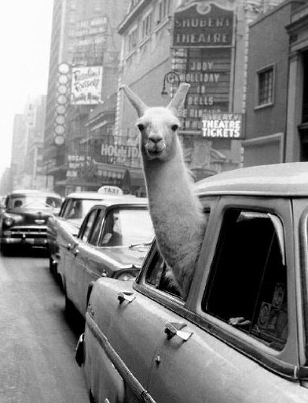 Times Square'de bir taksi, tarih 1957.