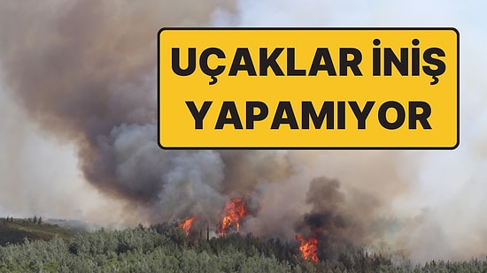 İzmir’de Orman Yangını: Uçak Seferleri İptal Oldu