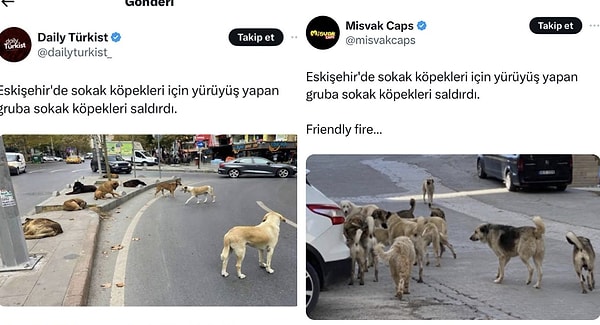 Son olarak Eskişehir'de sokak köpekleri için yürüyüş yapan gruba sokak köpeklerinin saldırdığı iddia edilmiş ancak bu görüntülerin kısa zaman içinde sahte olduğuna dikkat çekilmiş ve paylaşımların kopyalanıp yapıştırılarak bir algı yaratma gayretinde olunduğuna parmak basılmıştı.