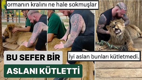 Bu Nasıl Cesaret? Hayvanlara Kayropraktik Tedavi Uygulayan Doktor Bu Sefer de Bir Aslanı Kütletti