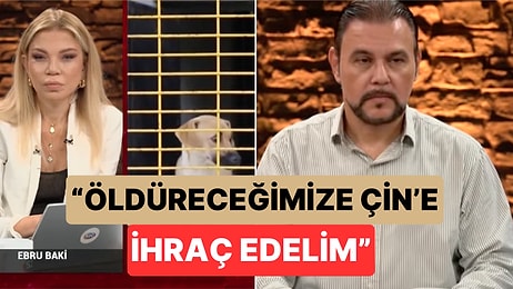 Ekonomist Murat Muratoğlu'nun Sokak Köpekleri ile İlgili Sözleri Tepki Çekti: "Çin'e İhraç Edelim"