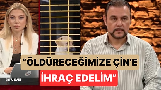 Ekonomist Murat Muratoğlu'nun Sokak Köpekleri ile İlgili Sözleri Tepki Çekti: "Çin'e İhraç Edelim"
