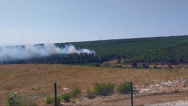 Yalova'nın Armutlu ilçesinde iki farklı noktada orman yangını çıktı.  Keçilkayalıkları mevkiindeki yangının yerleşim yerlerine yakın olduğu ve hızla büyüdüğü öğrenildi. Bölgedeki yangını söndürmek için havadan ve karadan ekiplerin müdahalesi devam ediyor.