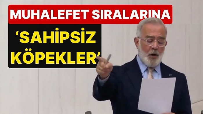 AK Partili Vekil, Muhalefet Sıralarını İşaret Ederek 'Sahipsiz Köpekler' Dedi!