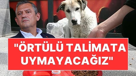 CHP Lideri Özgür Özel'den Açıklama: Sahipsiz Sokak Köpeği Düzenlemesi AYM'ye Gidiyor!