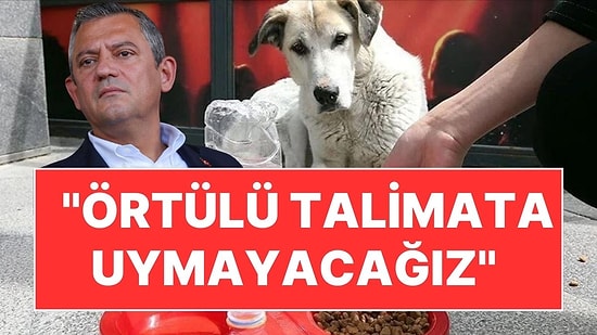 CHP Lideri Özgür Özel'den Açıklama: Sahipsiz Sokak Köpeği Düzenlemesi AYM'ye Gidiyor!