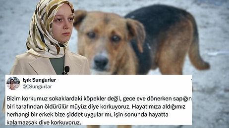 AK Parti Milletvekili Zehranur Aydemir Çocukken Yaşadığı Köpek Travmasıyla Yeni Yasayı Savundu