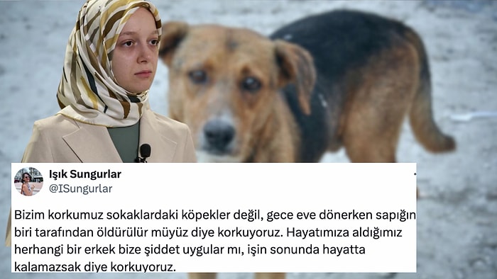 AK Parti Milletvekili Zehranur Aydemir Çocukken Yaşadığı Köpek Travmasıyla Yeni Yasayı Savundu