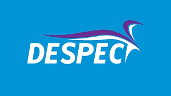 8. DESPC (Despec Bilgisayar Pazarlama ve Ticaret A.Ş.)